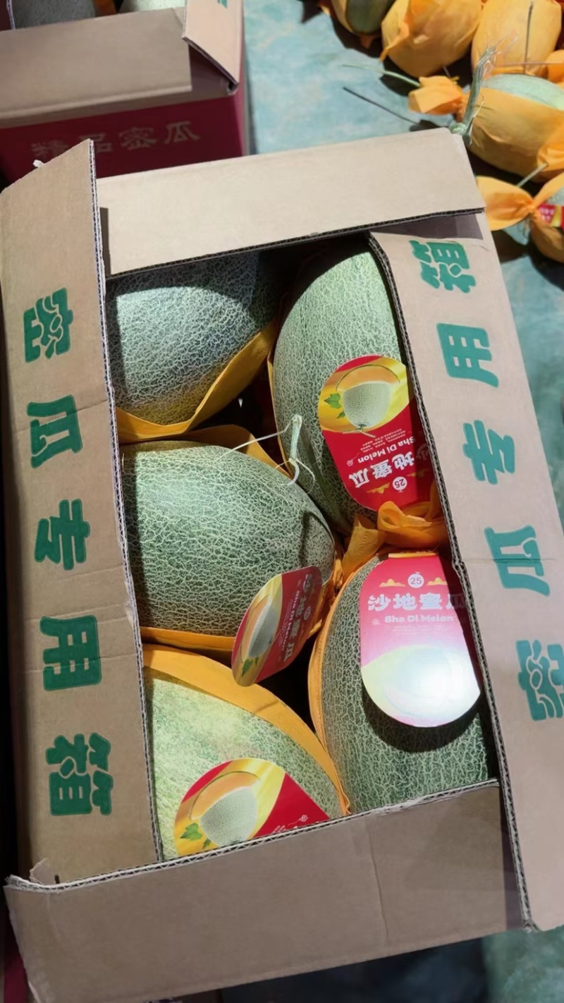 推荐海南哈密瓜晓蜜25哈密瓜皮薄肉厚产地直发