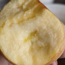 老品种小时候吃的味道大量上市黄心脆甜多汁