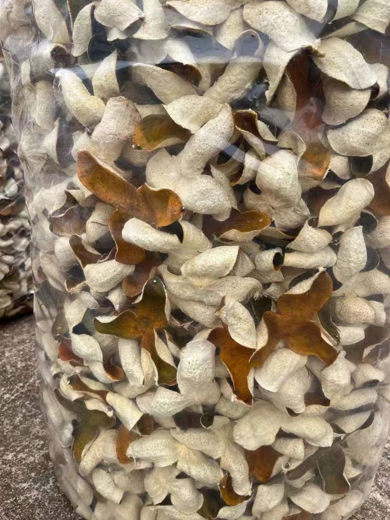 精品陈皮一手货源货源充足量大从优质量保证欢迎咨询