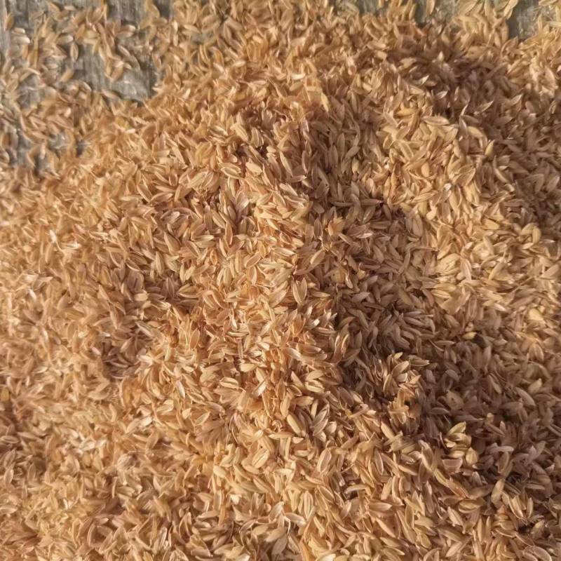 除尘圆壳