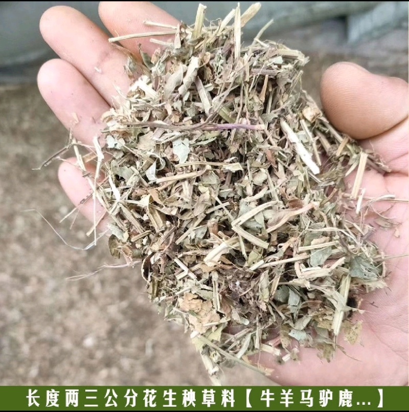 花生秧草牛羊饲料一手货源常年批发供应可视频看货