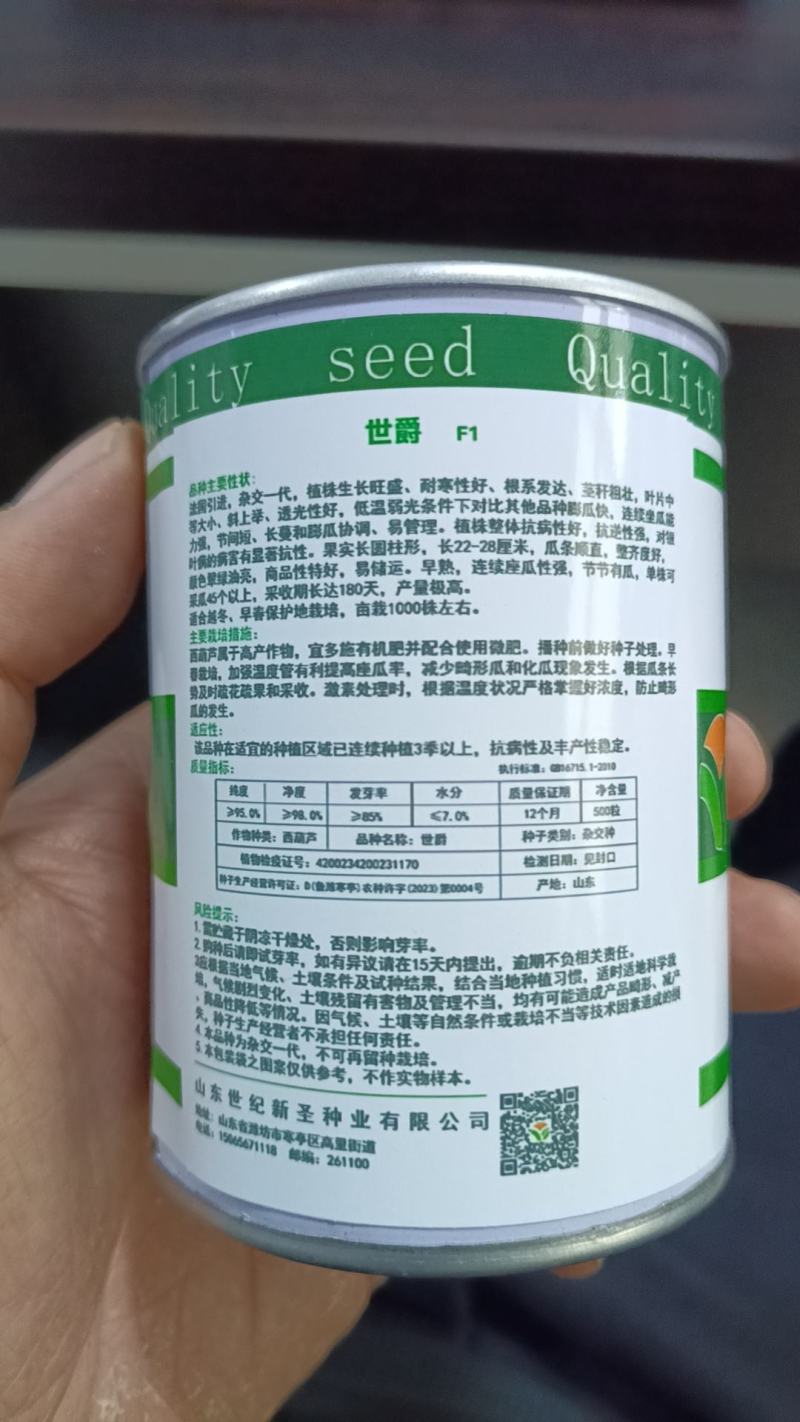 高品质越夏西葫种子露天南方北方专用西葫芦种子山东潍坊寿光