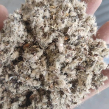 10%磨盘壳