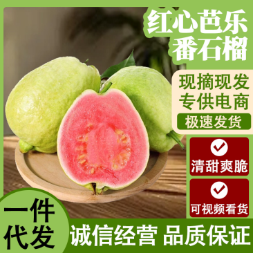 【广东】红心芭乐白心芭乐番石榴产地直销现摘现发可视频看货