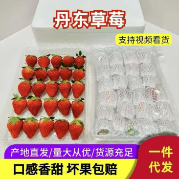 【一件代发】丹东草莓99红颜九九全网最低对接电商大主播