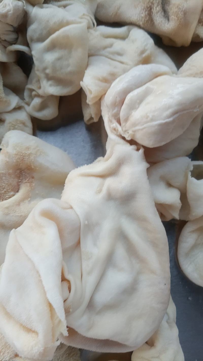 羔羊净肚免洗直接下锅无水无碱发国产每天加工大量批发