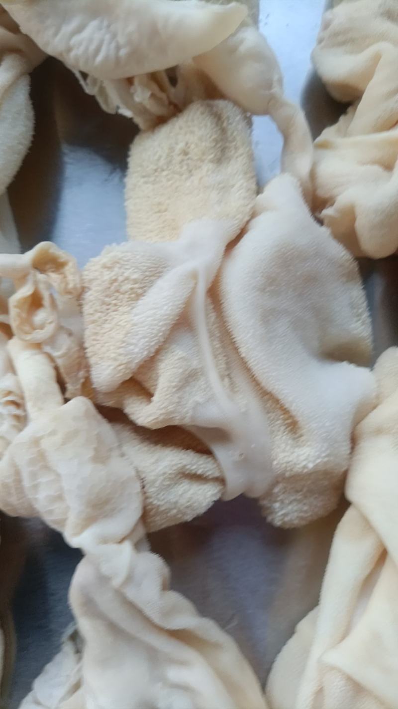羔羊净肚免洗直接下锅无水无碱发国产每天加工大量批发