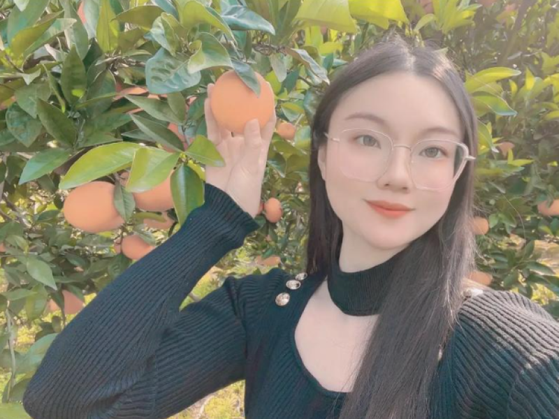 湖北碰柑芦柑产地直发一手货源品质保障欢迎咨询