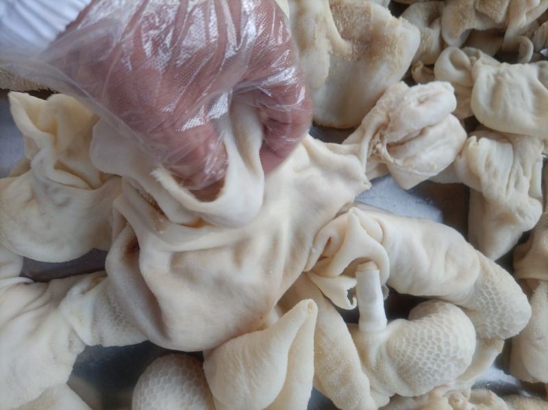 羔羊净肚免洗直接下锅无水无碱发国产每天加工大量批发