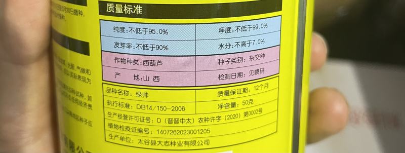 大志绿帅西葫芦种子农户种植户大面积种植蔬菜种子