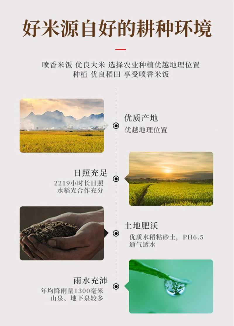 贵州老品种紫米胭脂紫米全国发货欢迎联系
