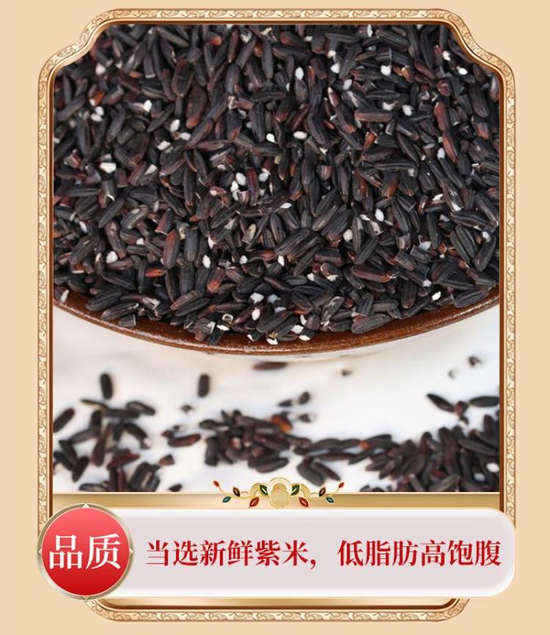 贵州老品种紫米胭脂紫米全国发货欢迎联系