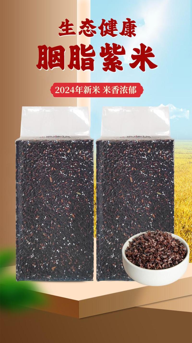 贵州老品种紫米胭脂紫米全国发货欢迎联系