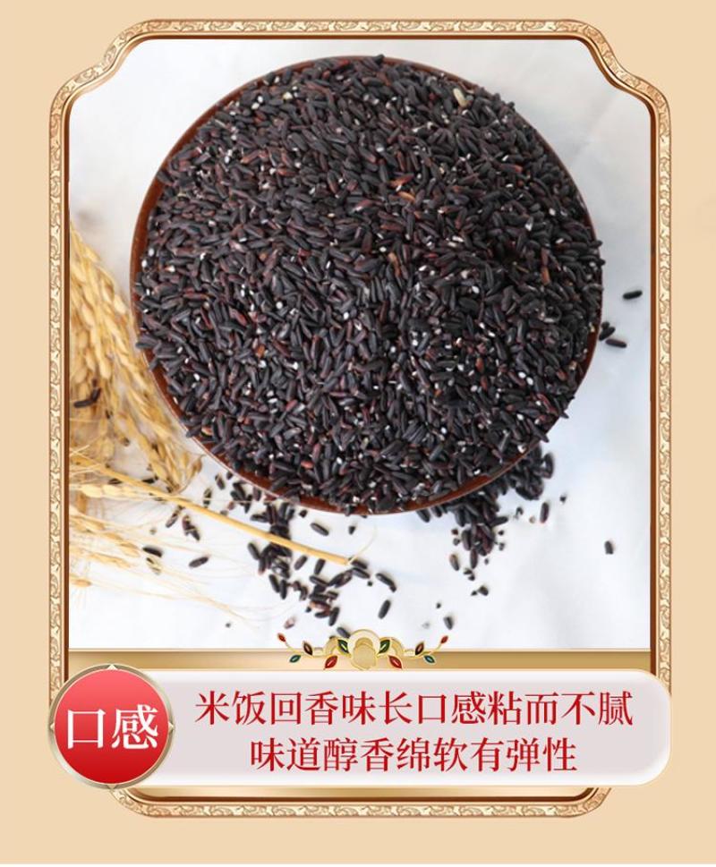 贵州老品种紫米胭脂紫米全国发货欢迎联系