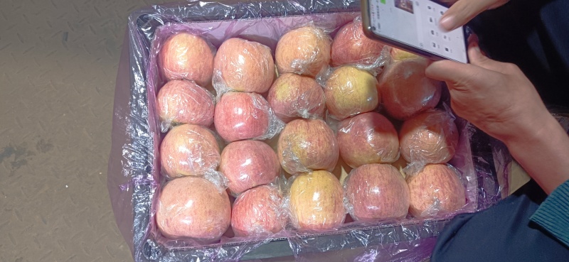 运城红富士苹果脆甜可口果面干净耐储运