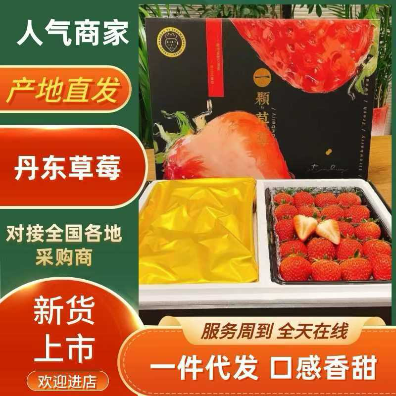 丹东九九草莓精品电商【一件代发】主播直播微商代理社区团购