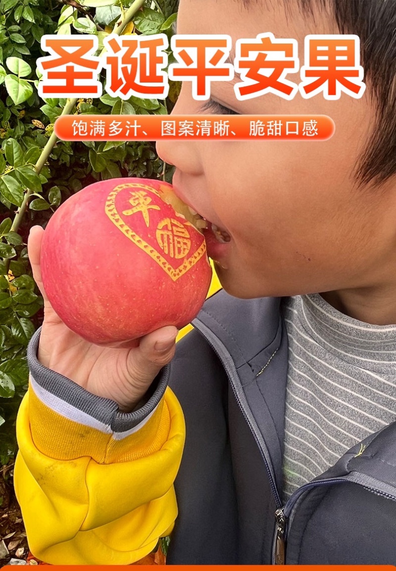 2024年圣诞节平安果预订定制红富士印字图案