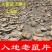 广西野生入地老鼠根片茉莉根