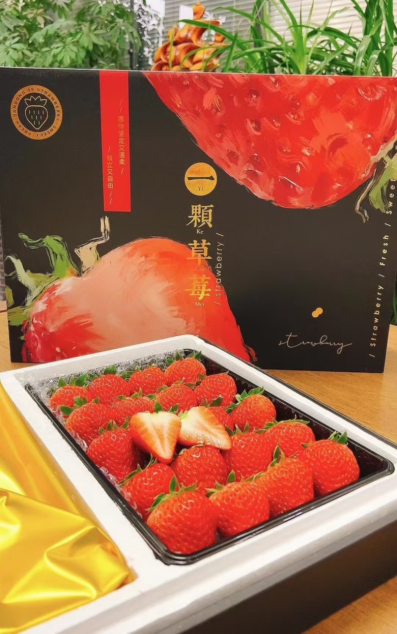 丹东九九草莓精品电商【一件代发】主播直播微商代理社区团购