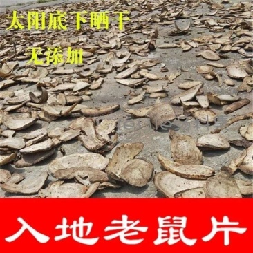 广西野生入地老鼠根片茉莉根