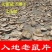 广西野生入地老鼠根片茉莉根