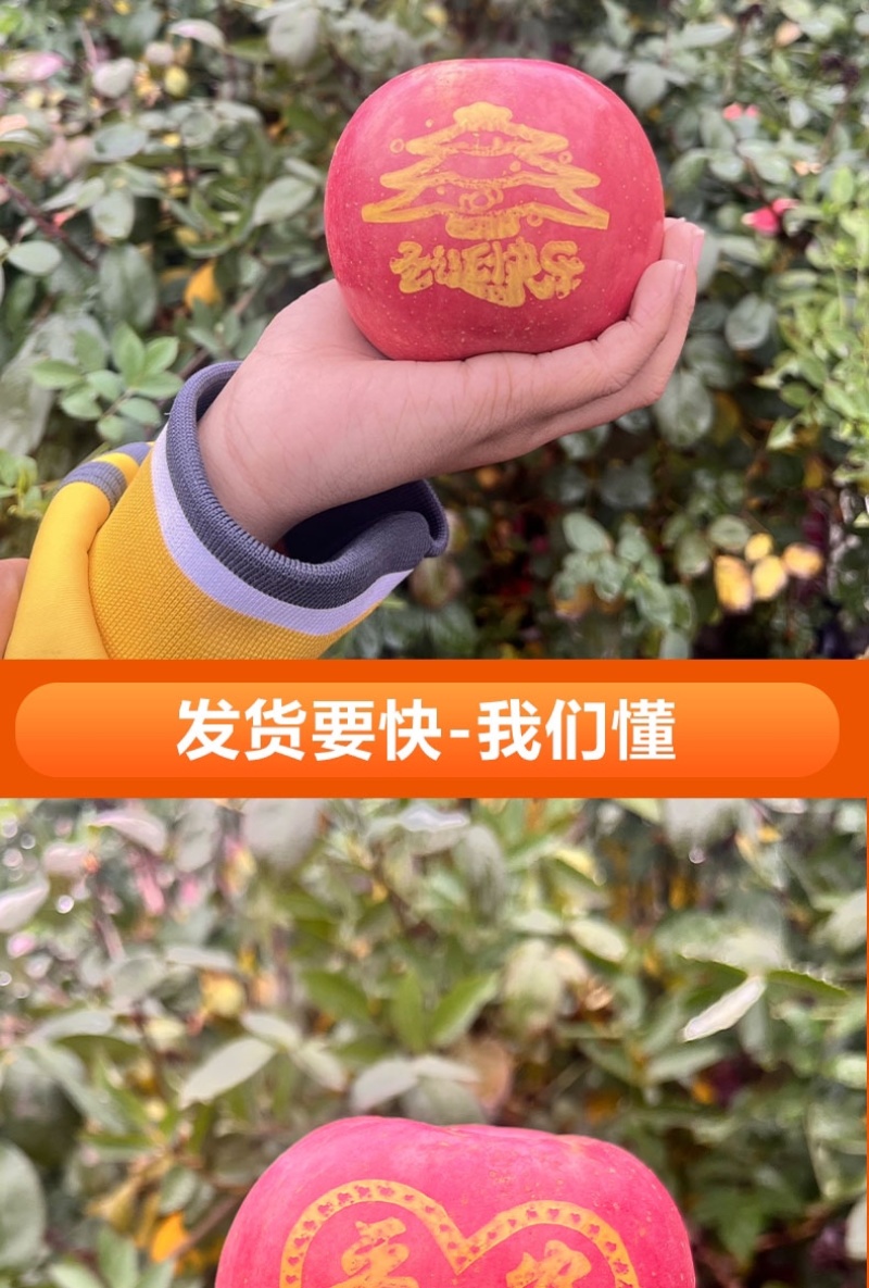 2024年圣诞节平安果预订定制红富士印字图案