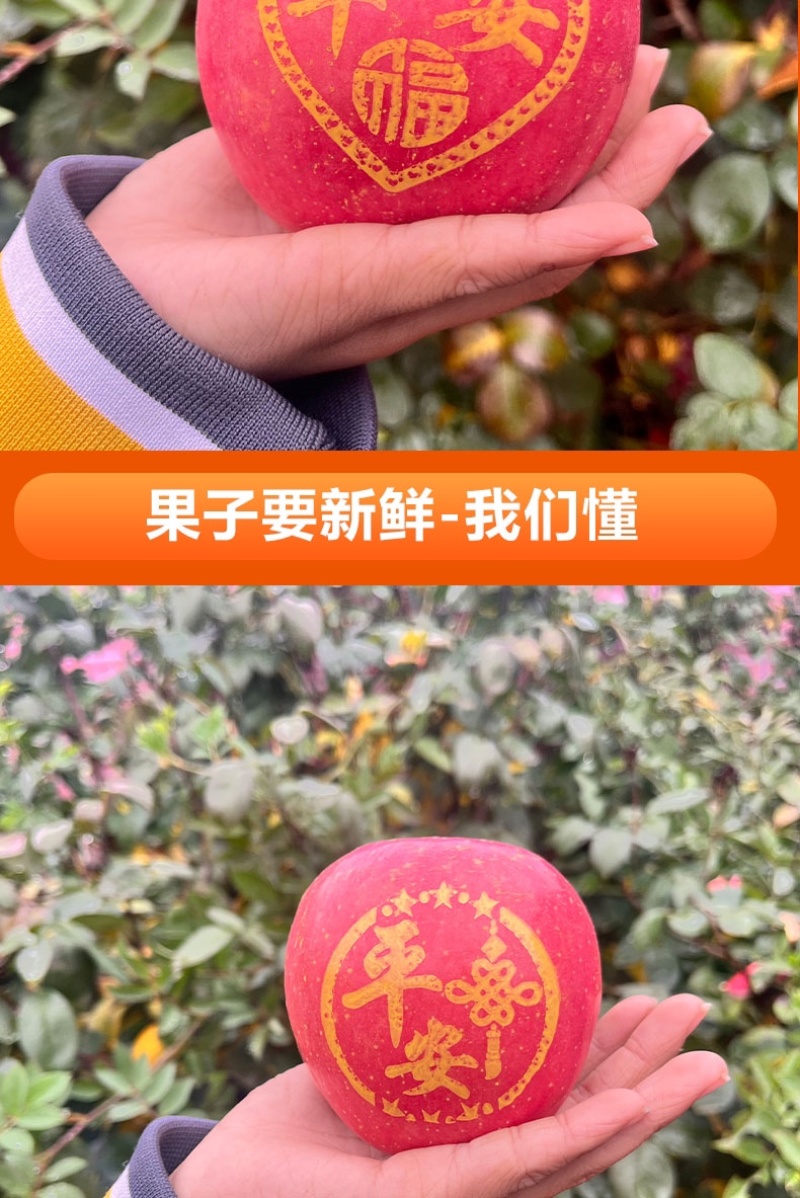 2024年圣诞节平安果预订定制红富士印字图案