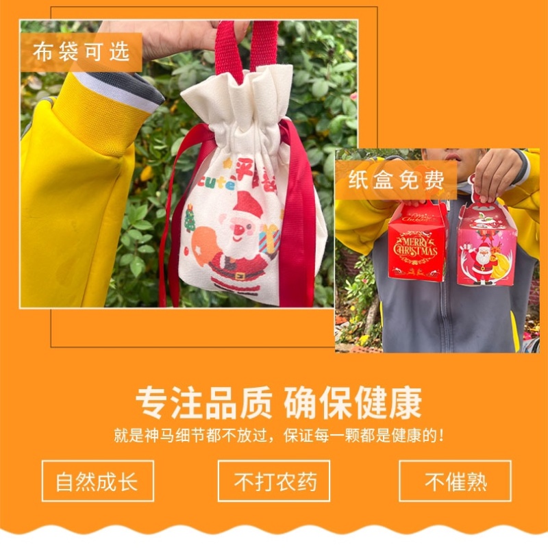 2024年圣诞节平安果预订定制红富士印字图案