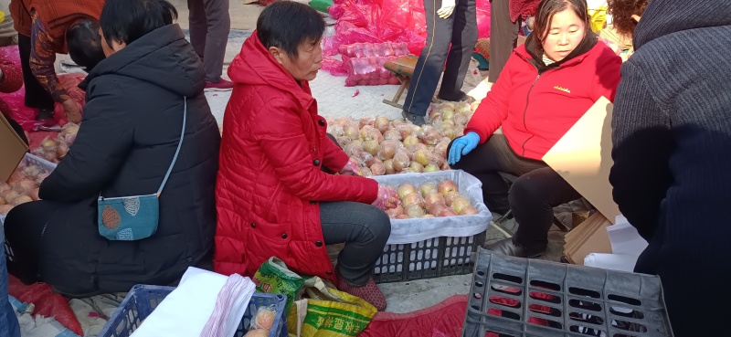 山西冰糖心红富士苹果味甜多汁个大均匀果面干净