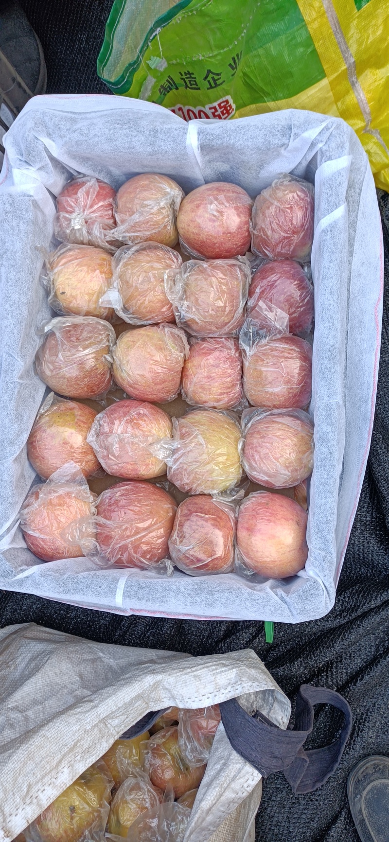 山西冰糖心红富士苹果味甜多汁个大均匀果面干净