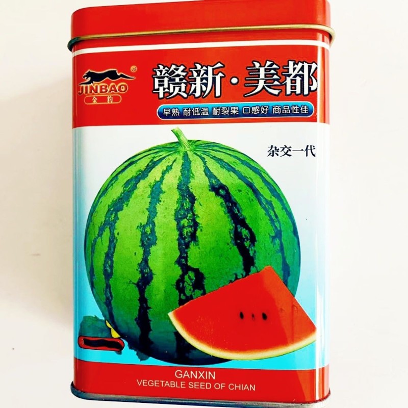 赣新美都西瓜种子中早熟耐低温西瓜种子耐裂果含糖高水果种西
