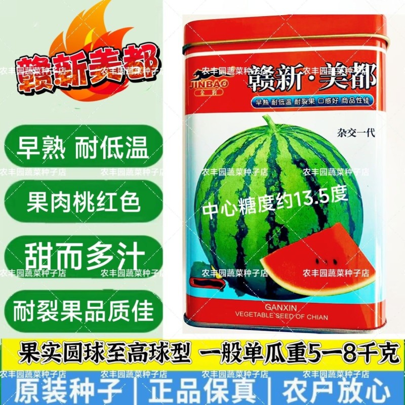 赣新美都西瓜种子中早熟耐低温西瓜种子耐裂果含糖高水果种西