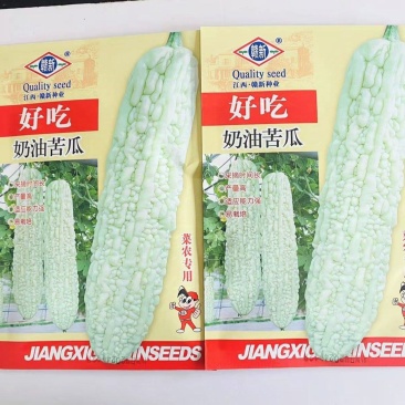 好吃奶油苦瓜种子早熟耐热苦瓜种子长圆筒形皮白有光泽白苦瓜