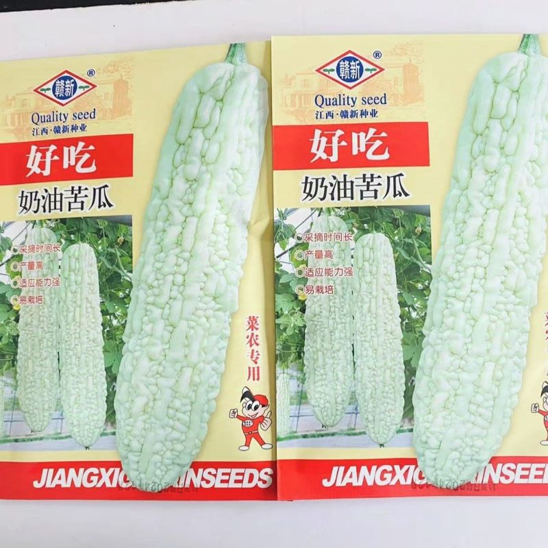 好吃奶油苦瓜种子早熟耐热苦瓜种子长圆筒形皮白有光泽白苦瓜