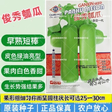 俊秀瓠瓜种子早熟短棒皮色绿油亮瓠瓜种子果肉白色香甜蔬菜种