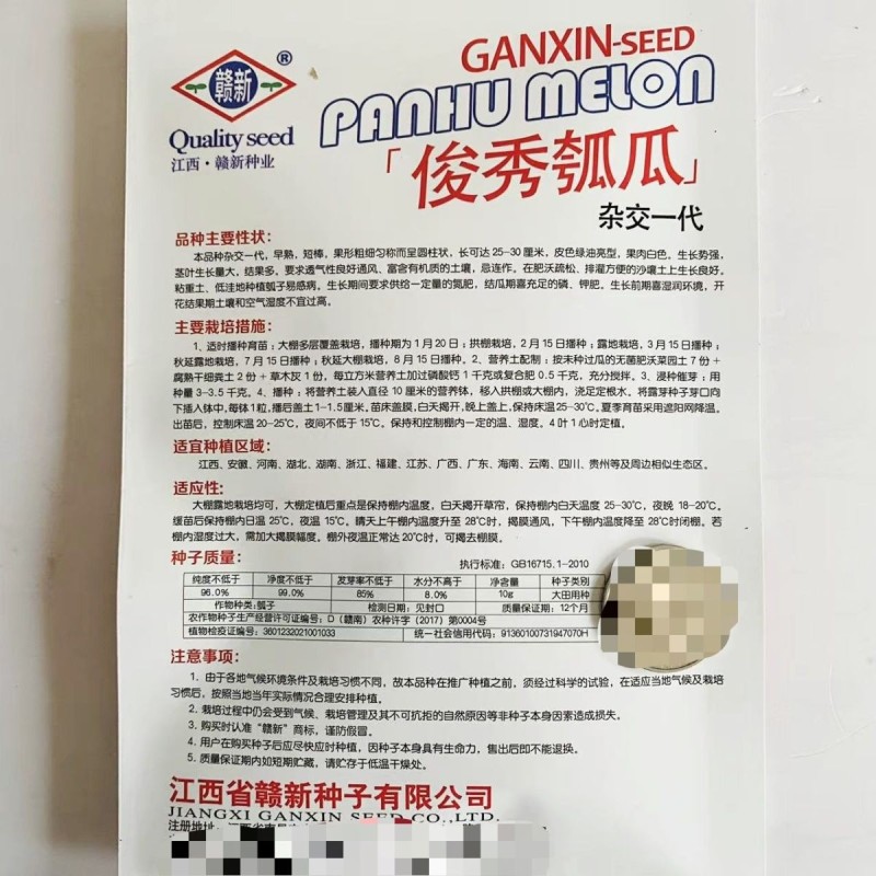 俊秀瓠瓜种子早熟短棒皮色绿油亮瓠瓜种子果肉白色香甜蔬菜种