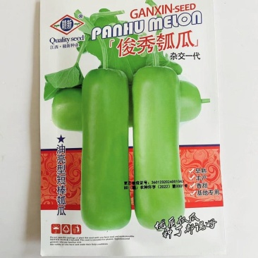 俊秀瓠瓜种子早熟短棒皮色绿油亮瓠瓜种子果肉白色香甜蔬菜种