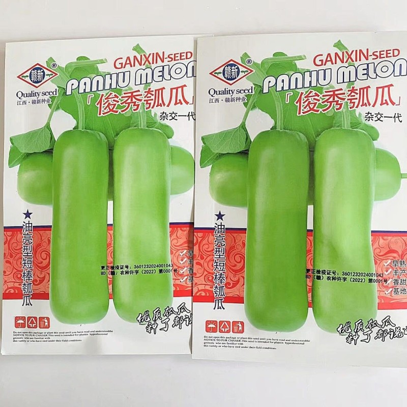 俊秀瓠瓜种子早熟短棒皮色绿油亮瓠瓜种子果肉白色香甜蔬菜种