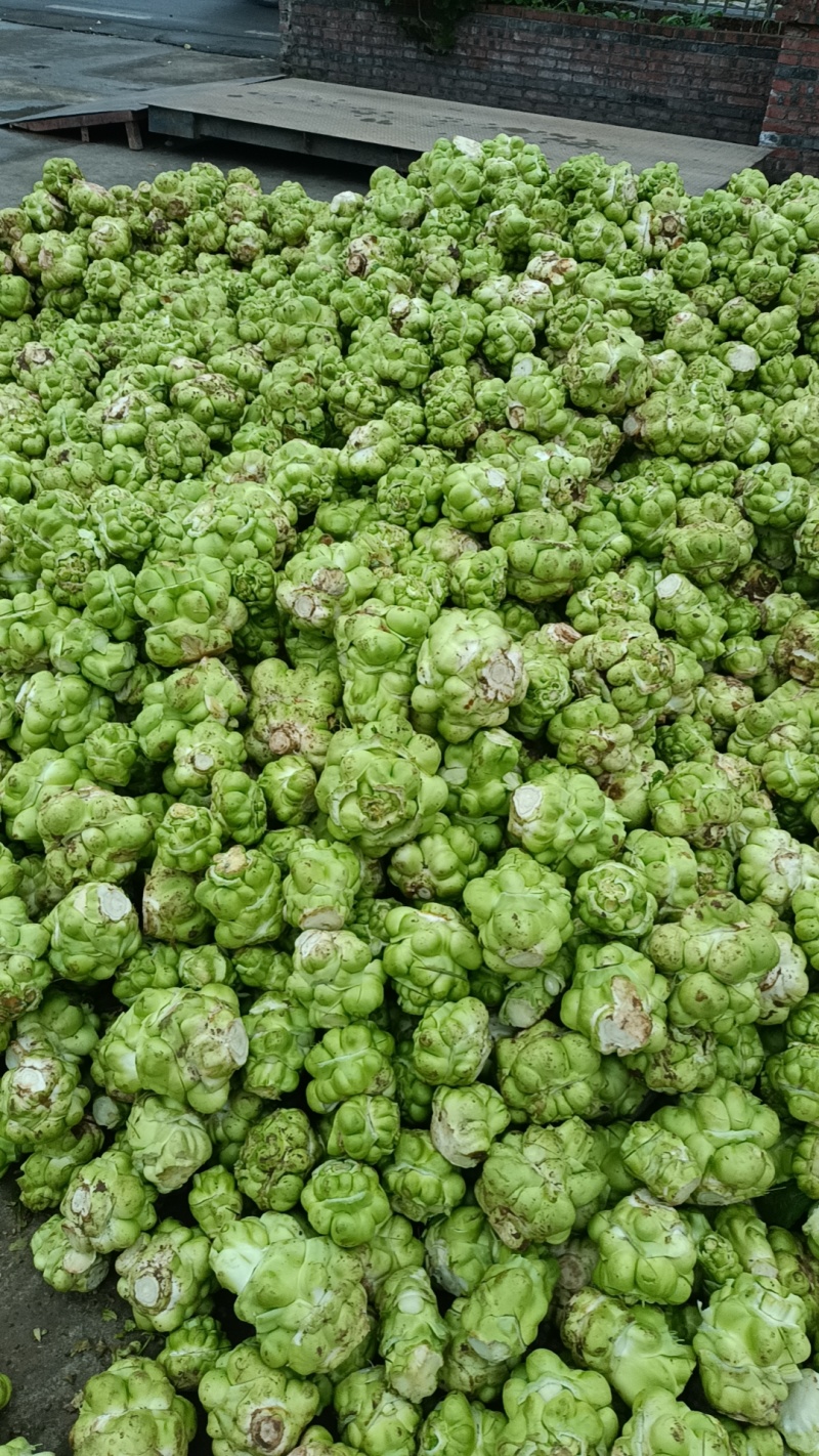 涪陵榨菜