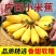 广西粉蕉新鲜当季水果非苹果香蕉芭蕉小米蕉皇帝蕉甜糯即食自