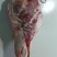 屠宰场新鲜牛肉，全国可发，手续齐全常年供应品质好价格优惠