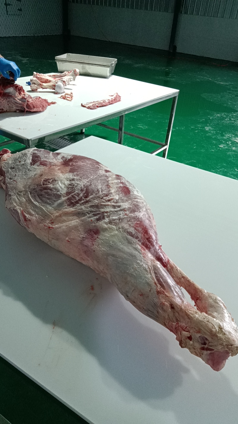屠宰场新鲜牛肉，全国可发，手续齐全常年供应品质好价格优惠