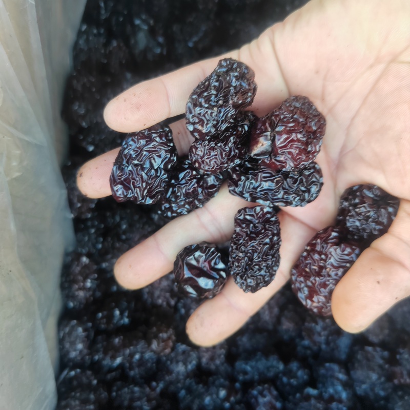 陕北特产紫晶枣，黑乌枣，食品，药品添加辅料，颗粒饱满，