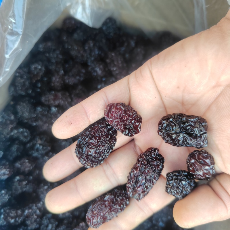 陕北特产紫晶枣，黑乌枣，食品，药品添加辅料，颗粒饱满，