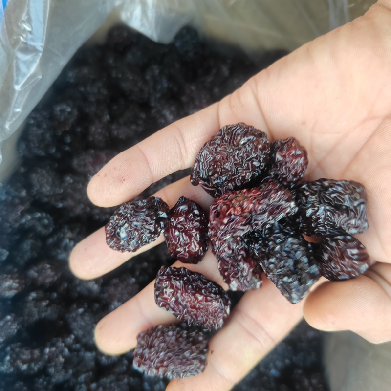 陕北特产紫晶枣，黑乌枣，食品，药品添加辅料，颗粒饱满，