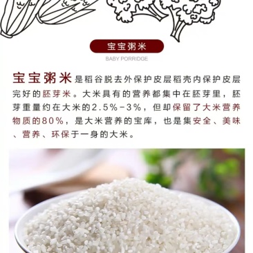宝宝早餐粥碎米稻花香米粥老少皆宜10斤装一袋起包邮