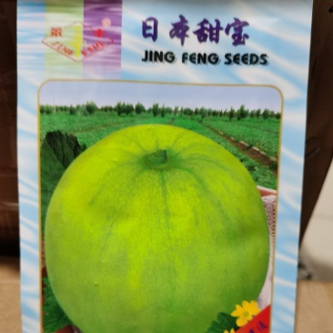 景丰日本甜宝F1种子10g/袋脆甜丰产