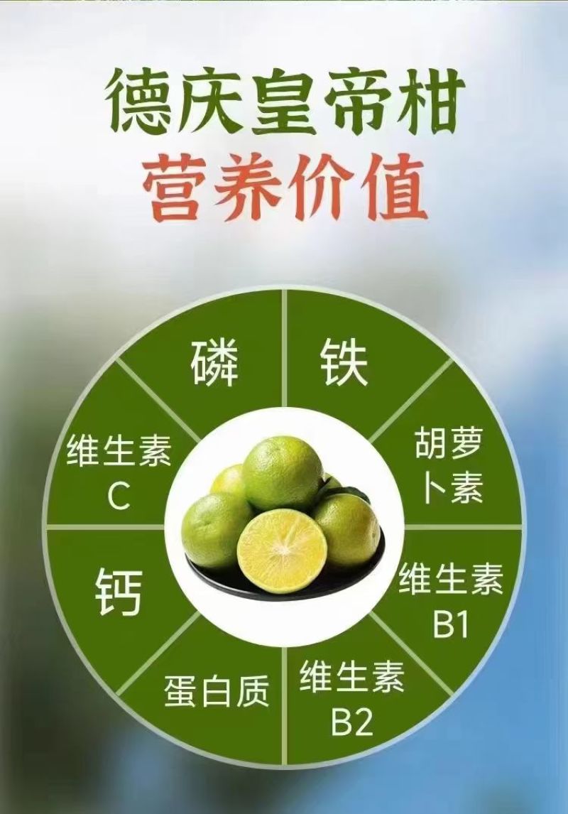 正宗德庆皇帝柑，皮薄核少，爽甜、化渣，自食、送礼佳品