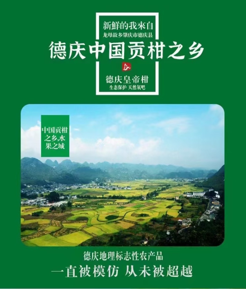 正宗德庆皇帝柑，皮薄核少，爽甜、化渣，自食、送礼佳品