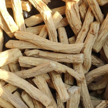 防风段